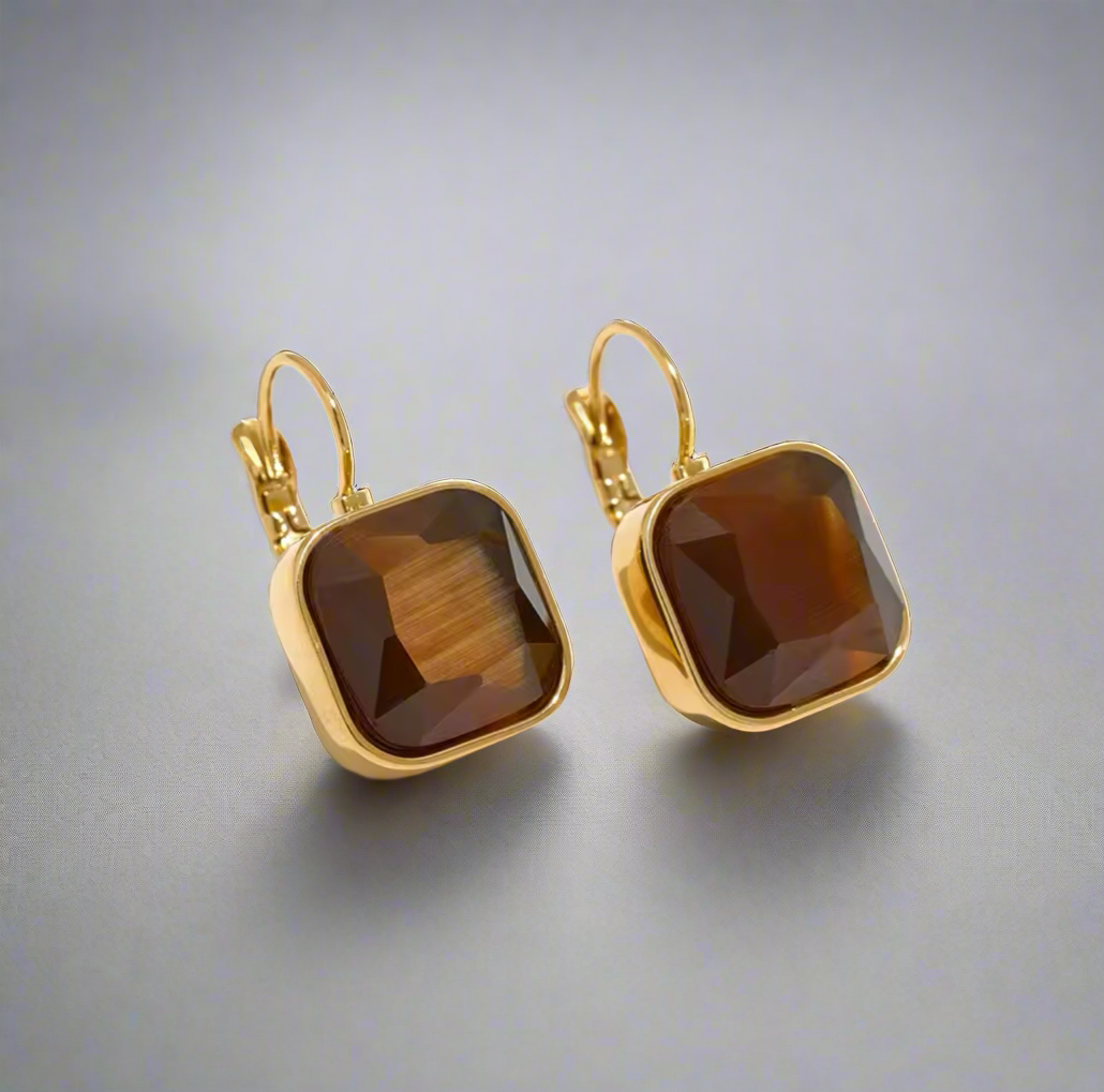 16184 Women’s Brown Crystal Rhinestones Gold Plated Stainless Steel Hoop Earrings