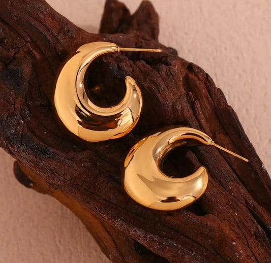 16180 Women’s Water Wave Hoop Gold Plated Stainless Steel Earrings