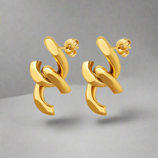 16134 Women’s Gold Plated Stainless Steel Earrings
