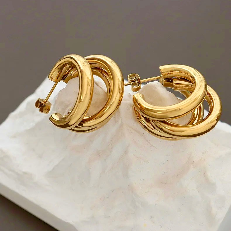 16169 Women’s Gold Plated Stainless Steel Earrings