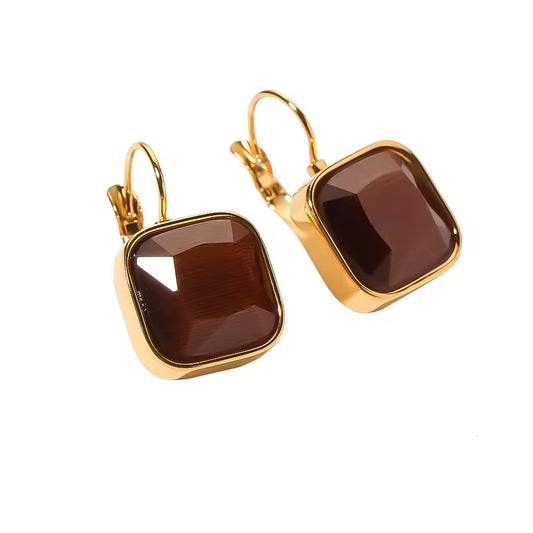 16184 Women’s Brown Crystal Rhinestones Gold Plated Stainless Steel Hoop Earrings