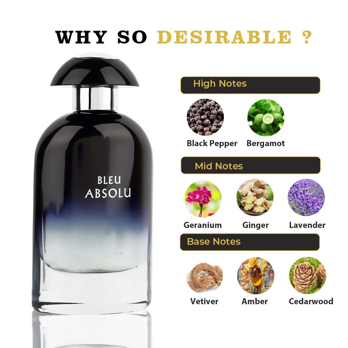 RiiFFS Bleu Absolu EDP 100ml